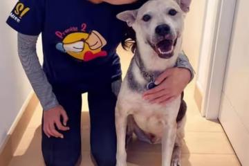 等待真命天子！TVB力捧花旦感情仍無著落，認不會為結婚而結婚