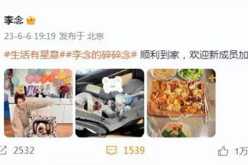 「闊太」李念生三胎後回家坐月子，產後恢復超好，三寶性別曝光