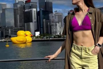 鄭志剛 李嘉欣 霍啟剛迎接大黃鴨回港,眾明星藝人紛紛打卡