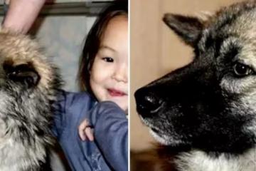 4歲女孩想念父親,帶忠犬離家出走 11天後狗狗獨自回家