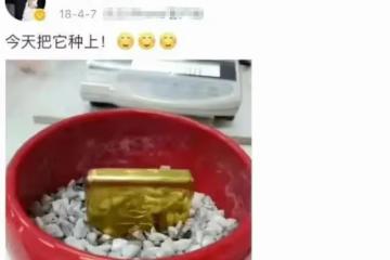 用金條當盆栽，投資吳京入股賓利，趙本山的徒弟吳雲飛到底多有錢