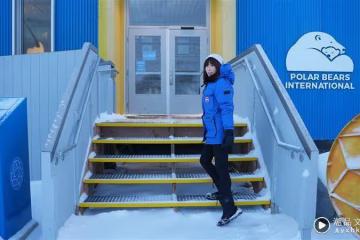 三度深入北極圈!舒夢蘭親見北極熊慘況「挨餓五個月」啃食電線桿