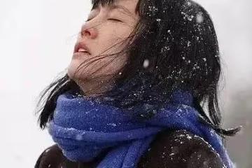 《658公里、陽子的旅途》：中年女性的勇敢救贖之旅