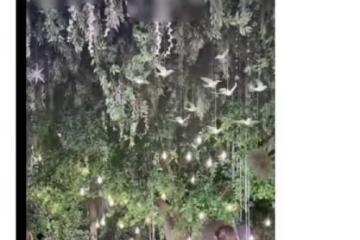 29歲「最美洛枳」被求婚！與男友擁吻落淚，曾因潛規則退出娛樂圈