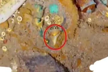 20億埋在鐵達尼號殘骸處？泰坦號爆炸背後是5個富豪探險家貪婪