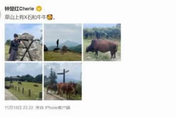 61歲鍾楚紅近照曝光!打扮樸素低調熱愛運動 丈夫病逝後孤身一人旅遊散心