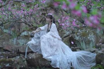 李子柒停更的第224天，想她！