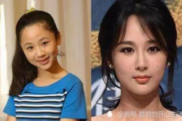 釋小龍:「李連杰的接班人」,5歲開始拍戲,而今復出路很難走?