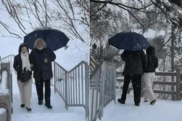 70歲張紀中分享近況,與小31歲妻子雪中賞景,為妻子撐傘太有愛