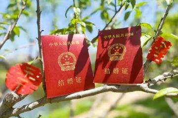 孫楊官宣與張豆豆結婚，甜蜜婚紗照曝光，男帥女美配一臉
