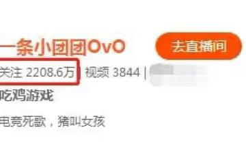 主播一條小團團宣布停播,直言身體狀態出現問題,網友:都是藉口