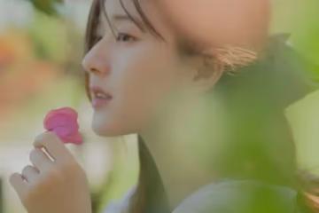 娛記說:鹿晗關曉彤要結婚?張子楓戀愛瓜後續?付辛博穎兒夫妻的料?宋軼出事了?