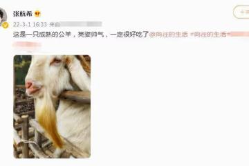 《嚮往6》馬上開錄！彭昱暢行程曝光錄製時間，張子楓遭網友抵制