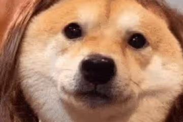 誰看了不說一句佩服！
