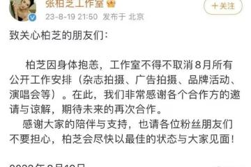 這次,可恥的「家暴男」孫東海,將「魔爪」伸向了張柏芝母子