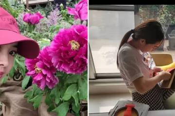 蔡依林歸隱田園,超狂豪宅曝光「天臺變私家菜園」自己種菜吃,內部花園美如畫,超愜意近況讓人好羨慕