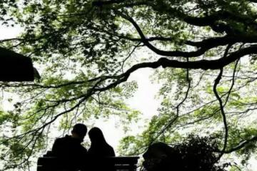 「你再不和我復婚，我就娶別的女人了」「對不起，我老公不讓」