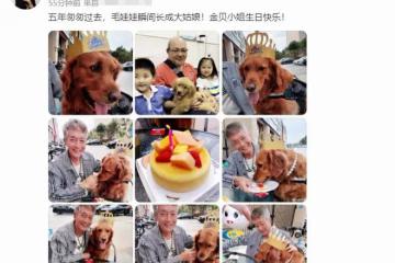74歲方剛退休定居內地,住豪宅生活滋潤,給狗送珍珠項鍊太奢侈
