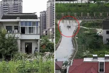 最強釘子戶，賠償從百萬漲千萬，仍不滿，最後自食惡果：只能淌水出門