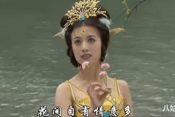 從「孔雀公主」到總裁夫人,46歲的金巧巧是怎麼走到今天的?