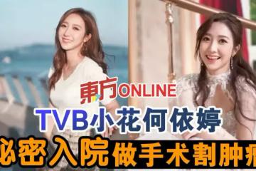TVB小花何依婷秘密入院做手術割腫瘤