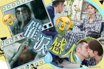 抱屍痛哭超虐心!吳卓羲未能見蔡思貝最後一面