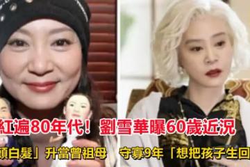 紅遍80年代！劉雪華曝60歲近況「滿頭白髮」升當曾祖母　守寡9年「想把孩子生回來」：這輩子最大的遺憾！