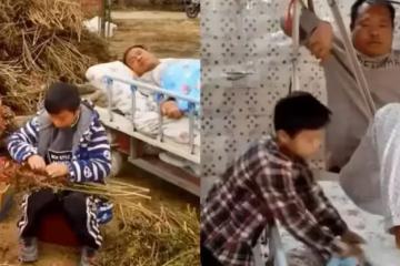 10歲男孩獨扛家計,每天推身障爸爸給鄰居摘辣椒「1斤2塊錢,一天十幾斤」網贊:懂事的好孩子