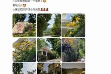 午馬前女友息影后轉行賣保險，內地豪宅意外曝光，裝修奢華似宮殿