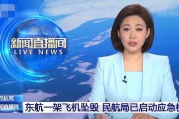 楊麗萍經紀人成墜機事件幸運兒！未上飛機保住性命，本人發文感慨