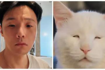 喵界李榮浩太鬧！22張「神撞臉名人的爆笑動物」對比照　一看「豆豆先生VS大眼貓頭鷹」像到分不出