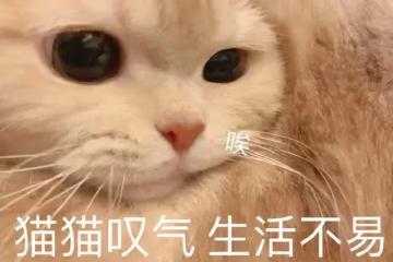 賣衛生巾裝尷尬，扮經典角色，全家上陣，過氣港星內地帶貨花招多