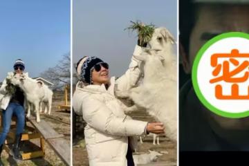 劉嘉玲近照，緊身褲顯大長腿，皮膚暴露真實年齡，網友：梁朝偉更顯老？