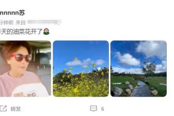48歲蘇瑾近況，當紅時遠嫁國外卻離婚收場，單身多年已低調復出