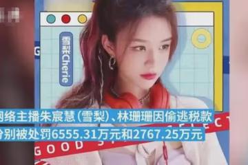 美女網紅「雪梨」、「林珊珊」因逃個稅被罰千萬~網友：這輩子賺得還不如人家交的稅多！