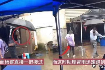 楊冪讓助理淋雨被罵!「曬秀場照秒改進」 化身貼心女霸總