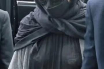 大S被台灣網友罵蛇蠍女,被疑哺乳期才不染髮,懷孕時間線被扒