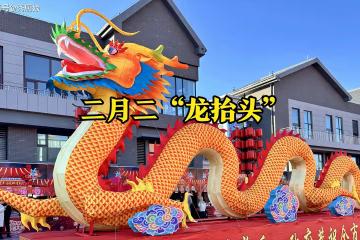 二月二龍抬頭,幾點剃龍頭更吉利?牢記這4個時間點,一年都順利