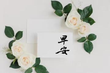 早安！金子般的5句話，把人生說透，送給你！令人大徹大悟，看看