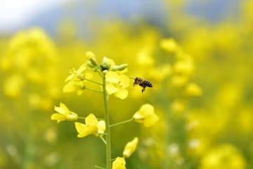 兒女雙全,還幫女兒帶娃十多年,生了病卻獨自住院無人問津,為何