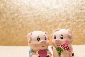 晚年更顯福相的5大生肖:年華增益,福氣不減,運勢昌盛