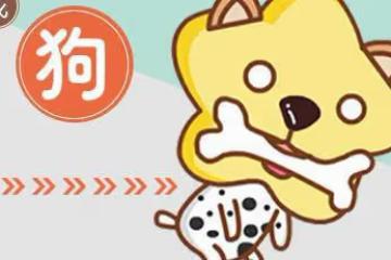 未來15天開始,4屬相福星高照,事業進步,生活順心如意