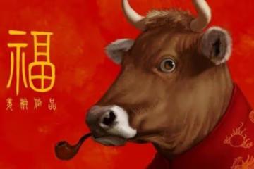 財運爆棚喜鵲傳來喜報，屬牛人今年事業順利，往後富貴無雙