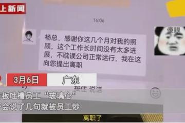 老闆吐槽員工「玻璃心」,開會說了幾句就被員工炒:一句也說不得