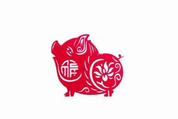 命運之神敲門,「生 肖豬」:迎接陽光為你加冕,財富雨中漫步!