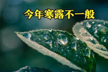 今年寒露不一般,老人總結出2個特點,可預知秋冬冷暖,早防備