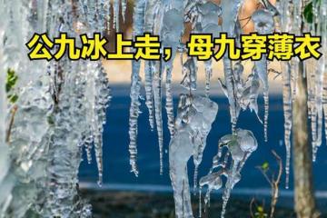 「公九冰上走，母九穿薄衣」，今年數九天是公是母？冬天很冷嗎？