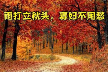 「雨打立秋頭,寡婦不用愁」,今日立秋下雨,寡婦為啥不愁?