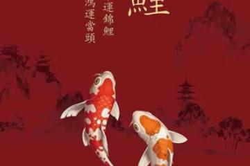 12月下旬「巨蟹座」大運將至，錦鯉附體，財源滾滾，存款滿滿！