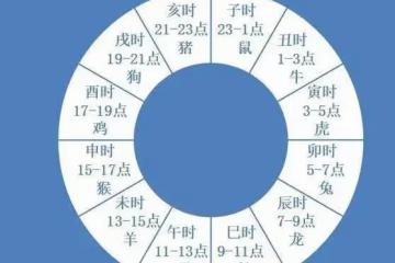 十二地支中的「三合局」啥意思?指的是什麼與什麼合